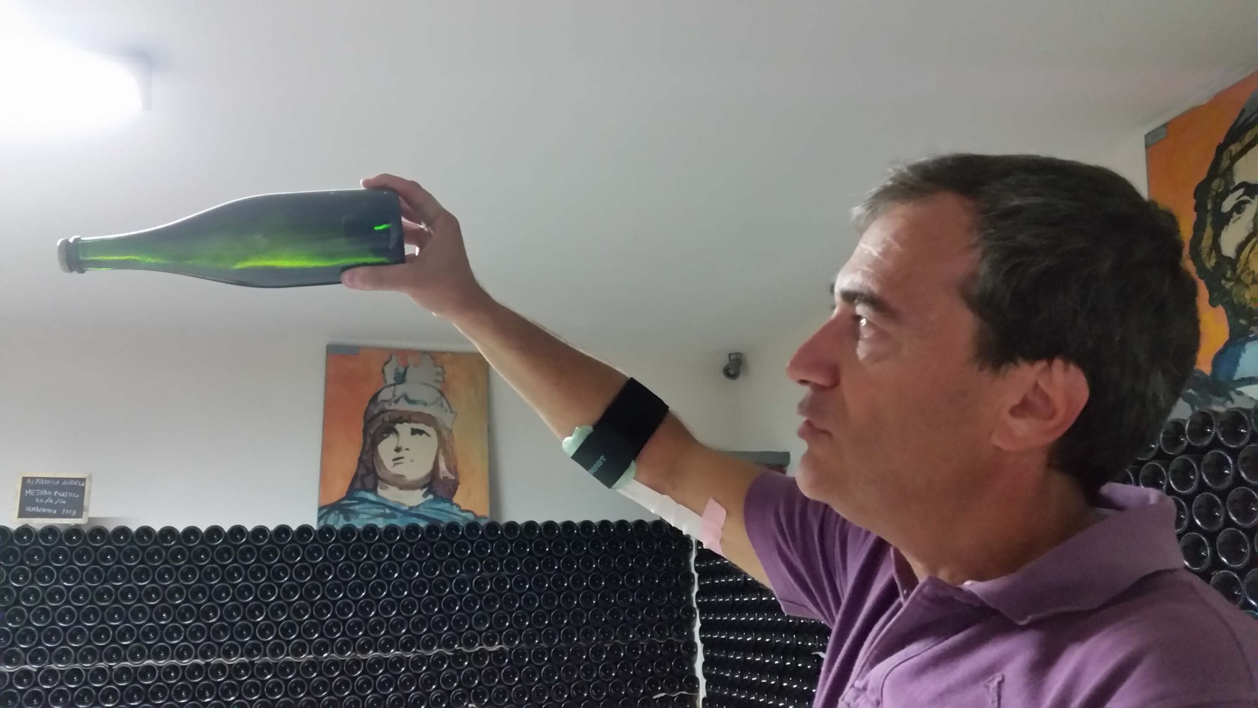 paolo calvanico vino asprinio